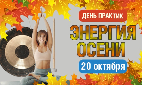 День практик 20.10